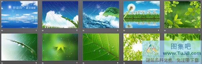 清爽夏日植物背景PPT模板下載