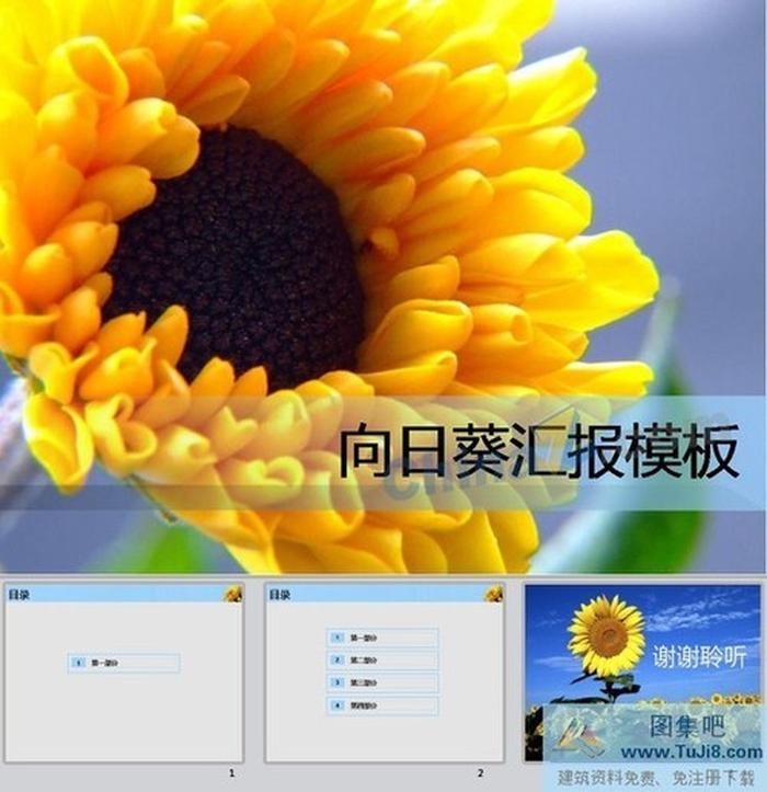 向日葵ppt模板下載