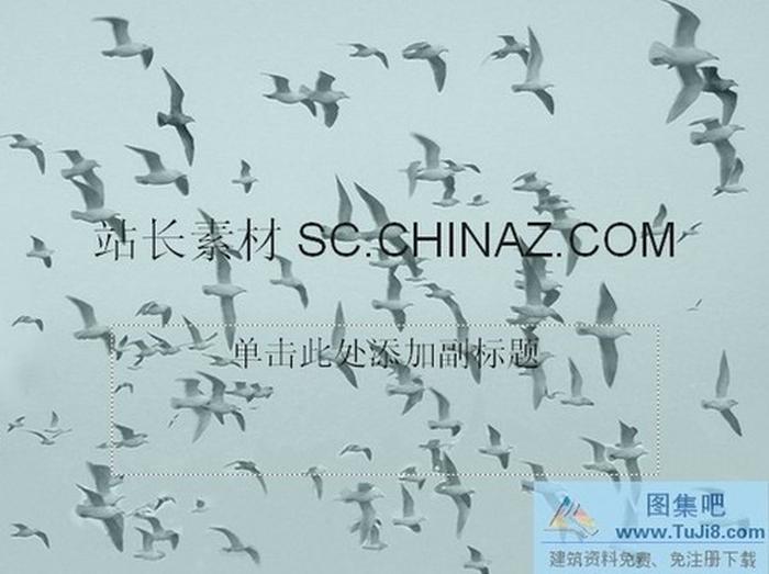海鷗背景PPT模板