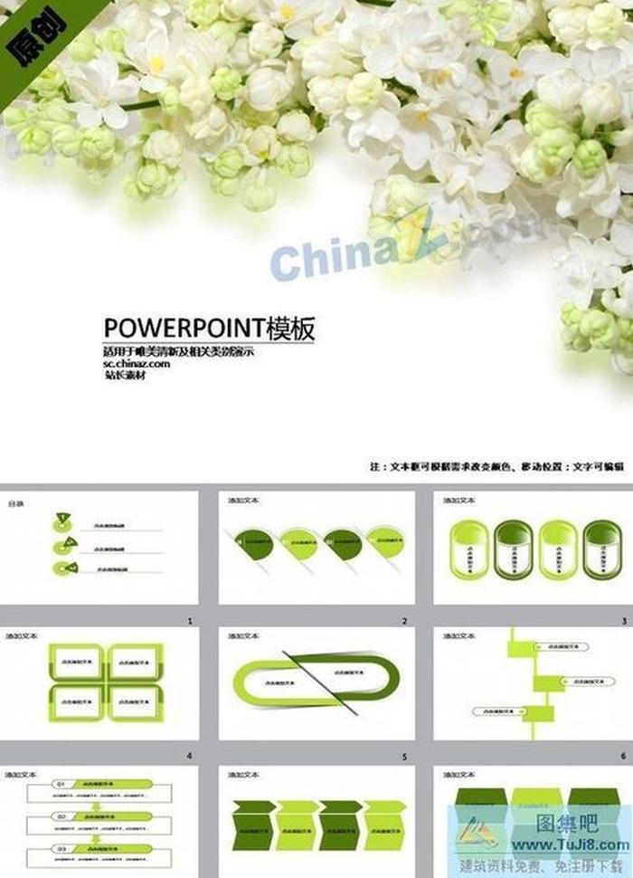 淡雅花卉ppt模板下載
