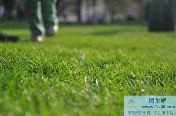 綠色草地ppt背景圖片下載