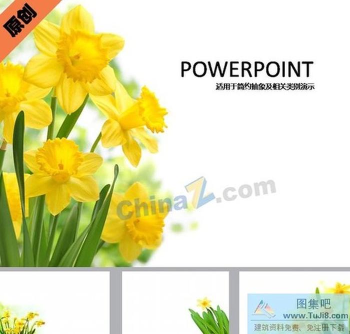 黃色水仙花ppt模板下載