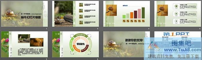 清新淡雅的蝸牛PowerPoint模板下載