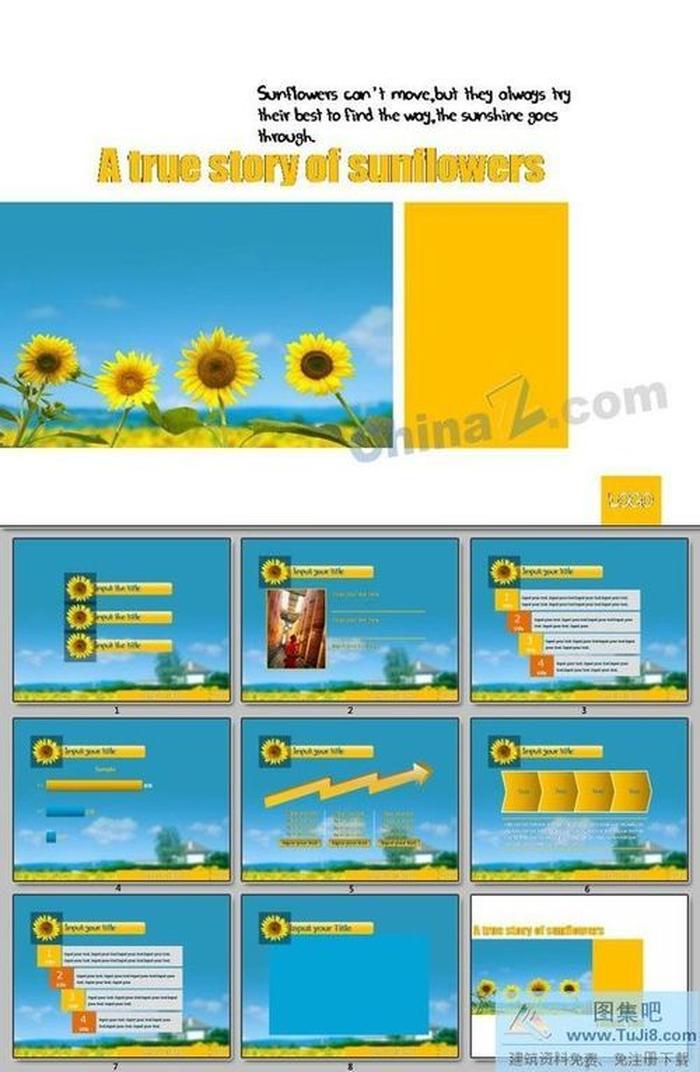 陽(yáng)光之歌ppt模板下載