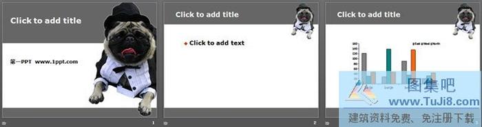 可愛(ài)小狗藝術(shù)PPT模板下載