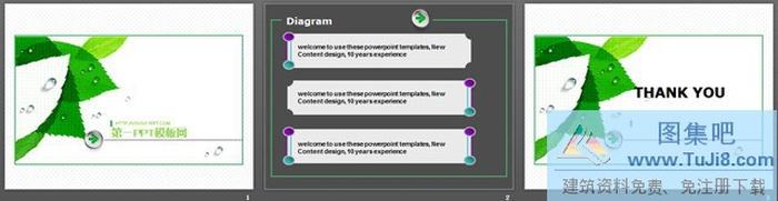 藝術(shù)樹葉背景經(jīng)典PPT模板下載