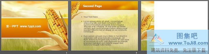 豐收的喜悅玉米背景PPT模板