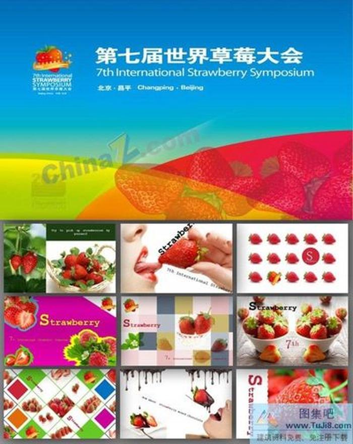 草莓水果營銷PPT模板