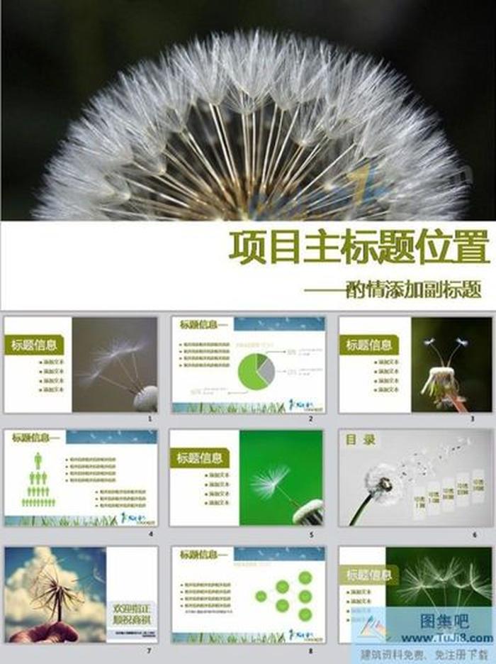 商務(wù)形象ppt模板下載