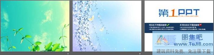 兩張藍(lán)天白云下唯美植物PPT背景圖片