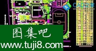 某小學景觀綠化植物布置總平面圖