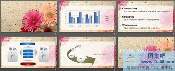 素雅的野菊花PPT模板