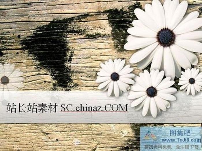 菊花背景PPT模板