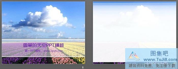 天空下的郁金香PowerPoint模板下載