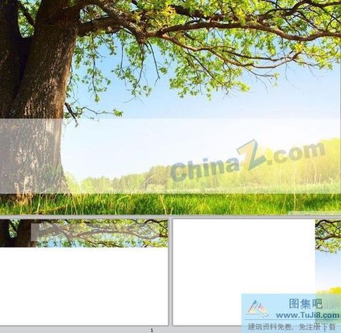 一顆大樹ppt模板下載