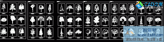 必備的CAD植物立面圖