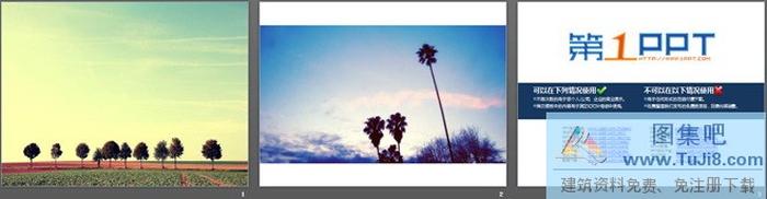 遼闊天空唯美樹(shù)木自然PPT背景圖片