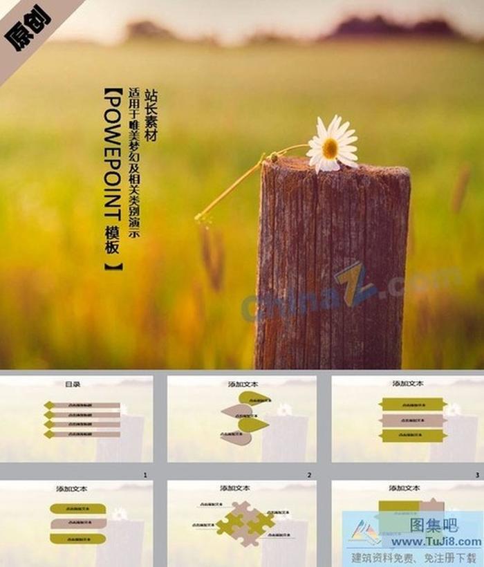 傷感小菊花ppt模板下載