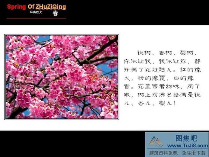 春天朗誦PPT模板