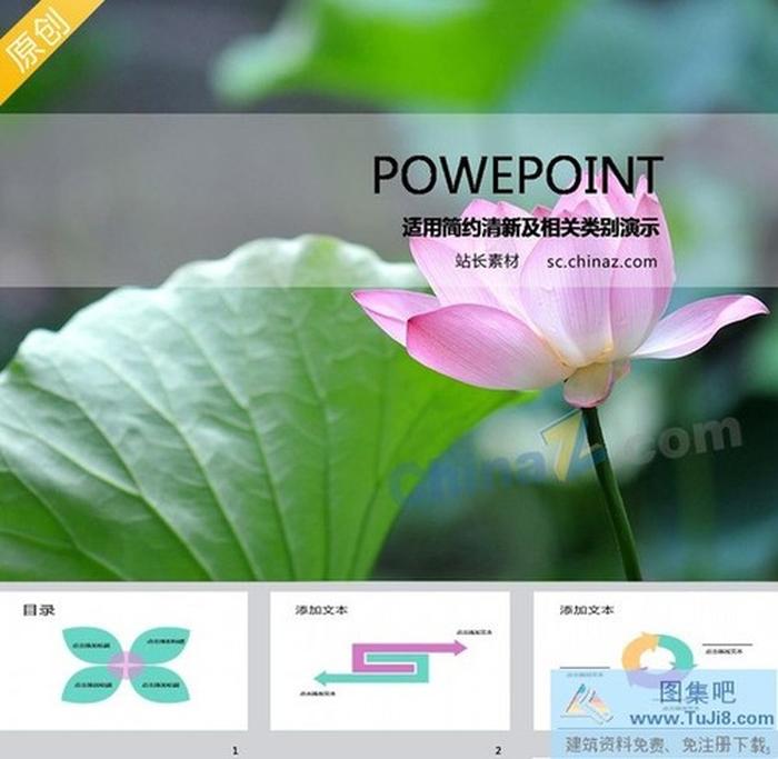 美麗荷花PPT模板