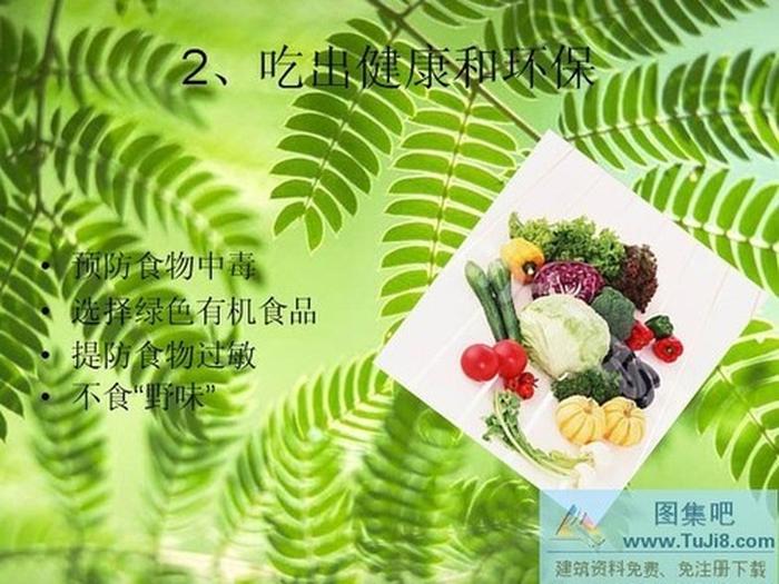 綠色食品PPT模板
