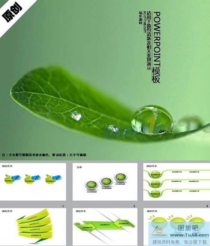 綠葉水珠ppt模板下載
