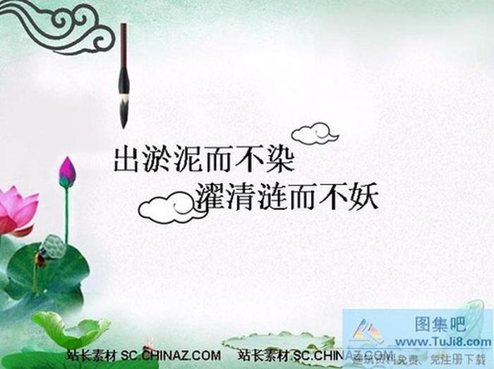荷花書法PPT模板