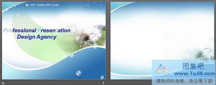 藍(lán)色蒲公英飛翔PPT模板下載