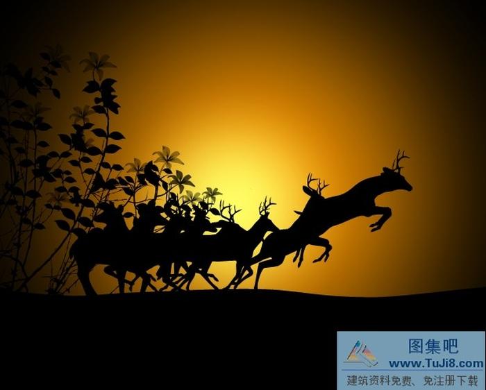 花紋設計PPT模板