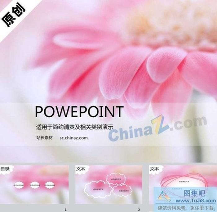 粉色非洲菊ppt模板下載