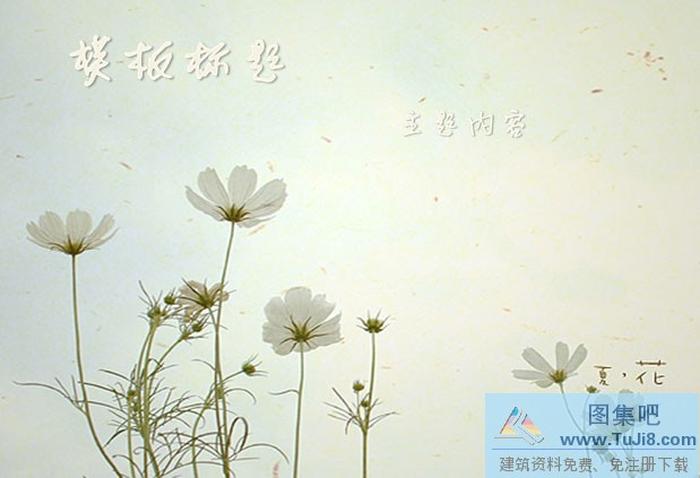 可愛花朵PPT模板