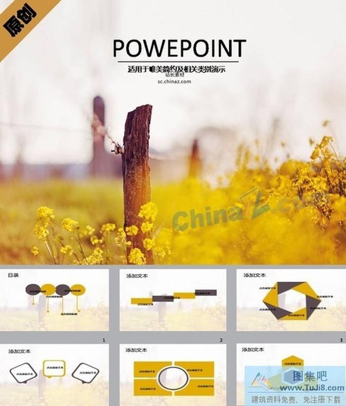 花開怒放ppt模板下載