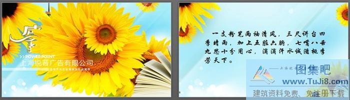 葵花朵朵感恩教師節(jié)PPT模板
