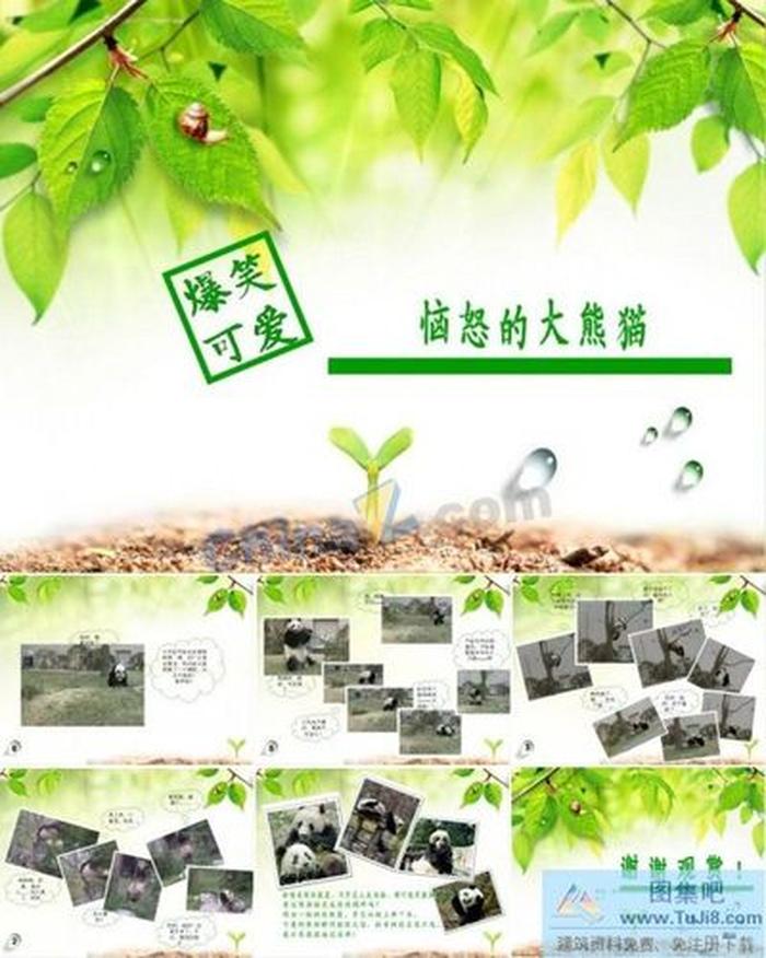 可愛大熊貓ppt模板下載