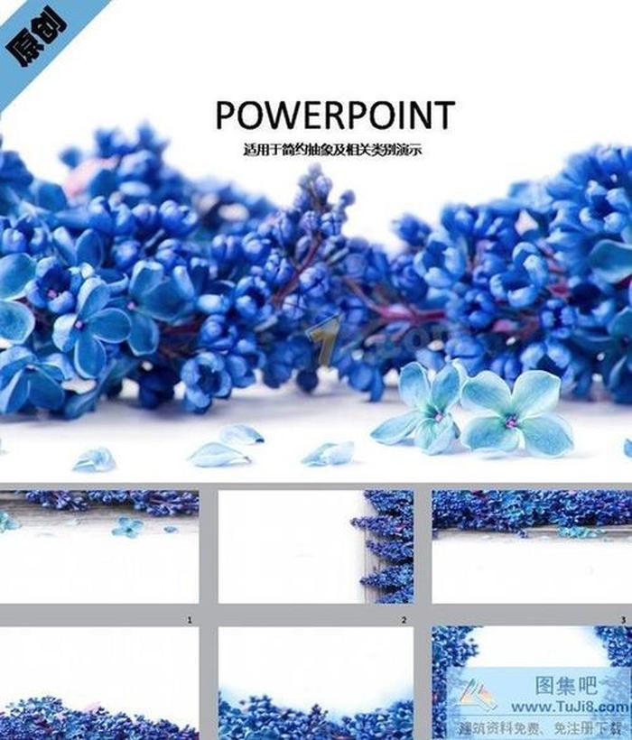 藍(lán)色花蕾ppt模板下載