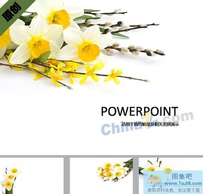 白色花枝花束ppt背景圖片