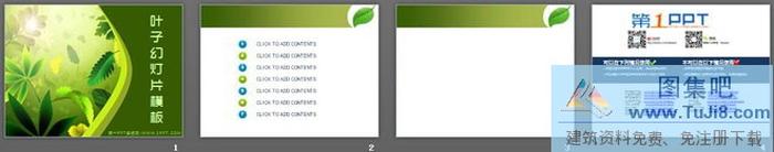 優(yōu)雅綠色植物葉子背景的藝術(shù)設(shè)計(jì)PPT模板下載