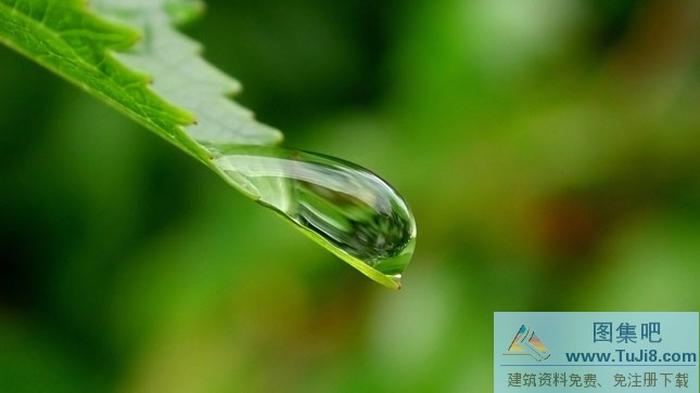 清新露珠ppt背景圖片下載