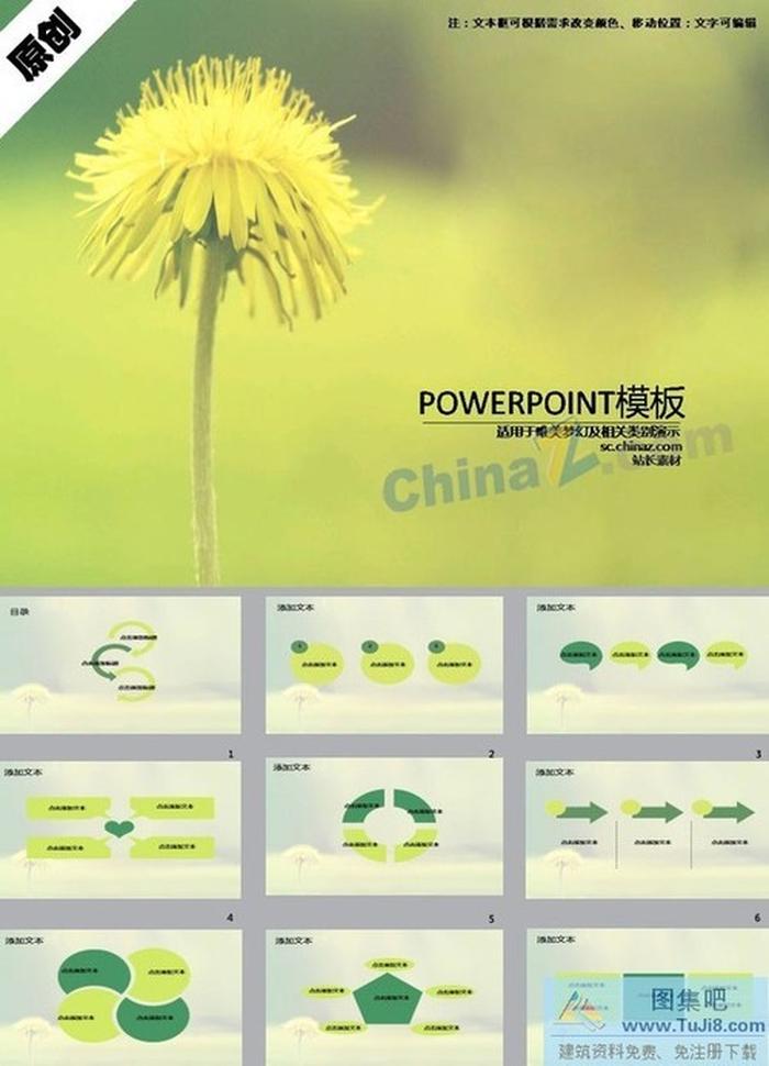 青蔥菊花ppt模板下載