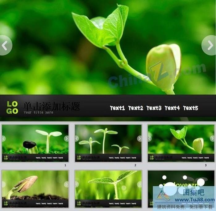 綠芽ppt模板下載