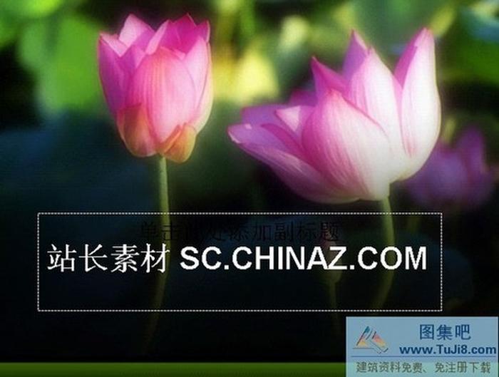 荷花背景PPT模板