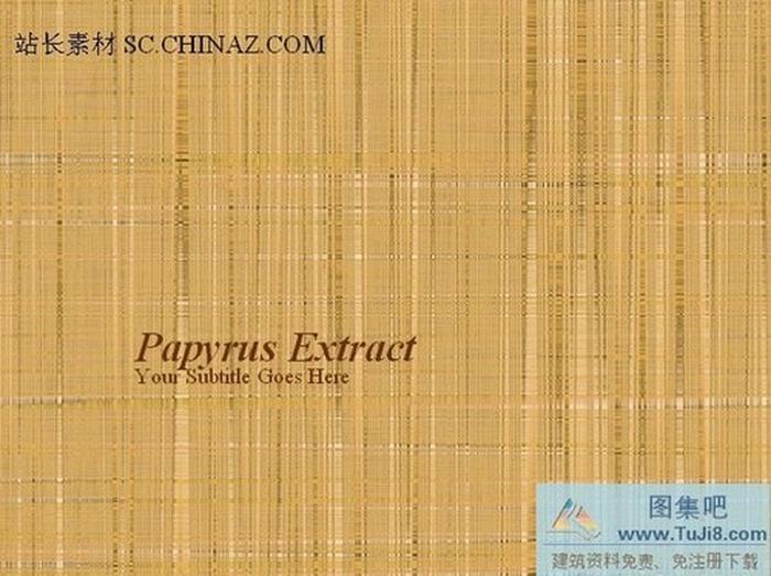 精美背景PPT模板