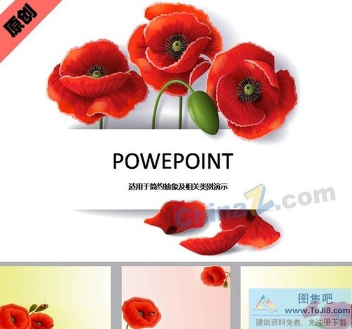 罌粟花ppt模板下載
