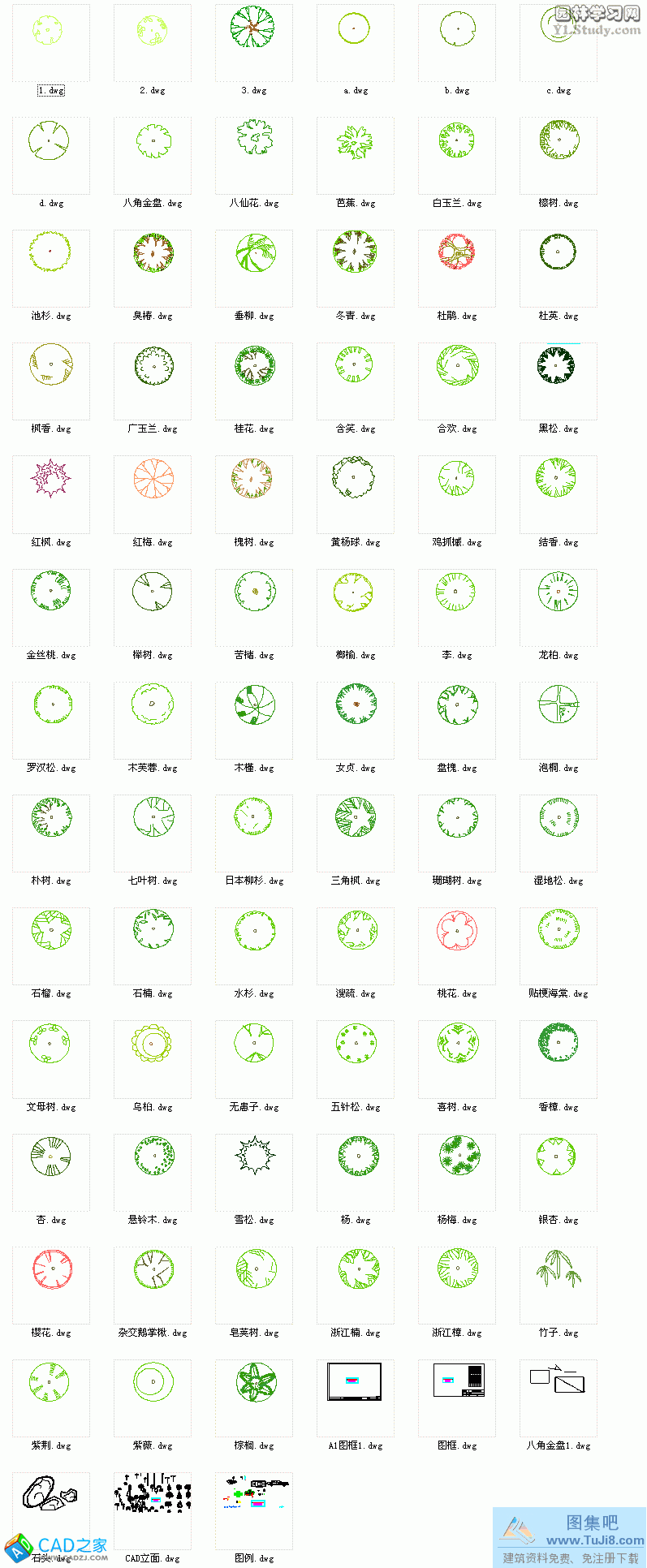 80多個(gè)CAD樹(shù)塊大全