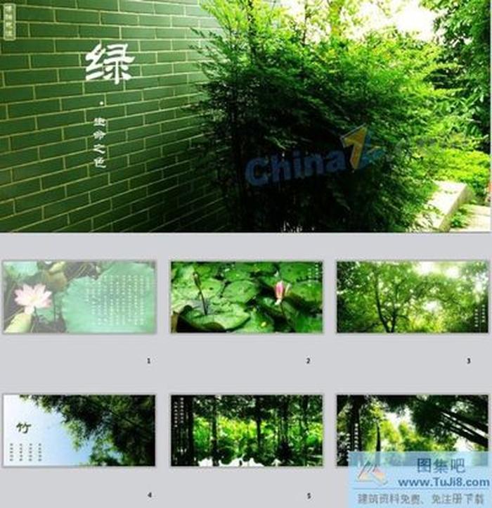 生命之色ppt模板下載