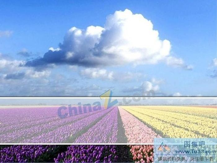 花的海洋ppt模板下載