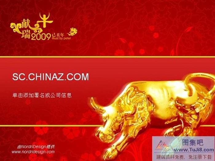 2009新年ppt模板