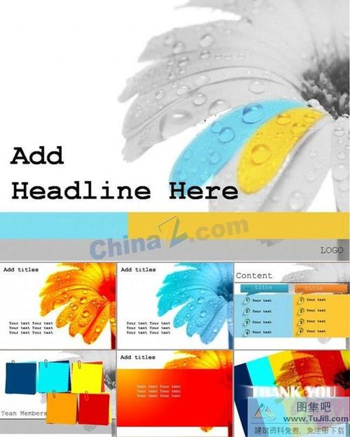 雛菊背景ppt模板下載