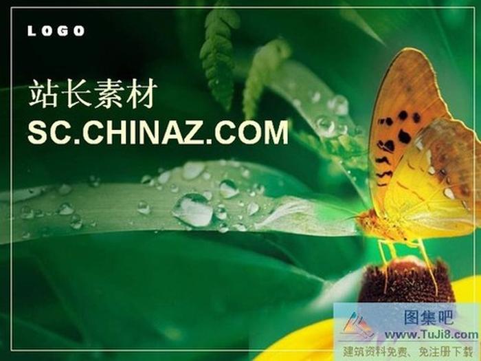 美麗蝴蝶PPT模板