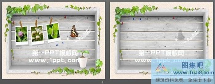 藤蔓蝴蝶PPT背景圖片下載